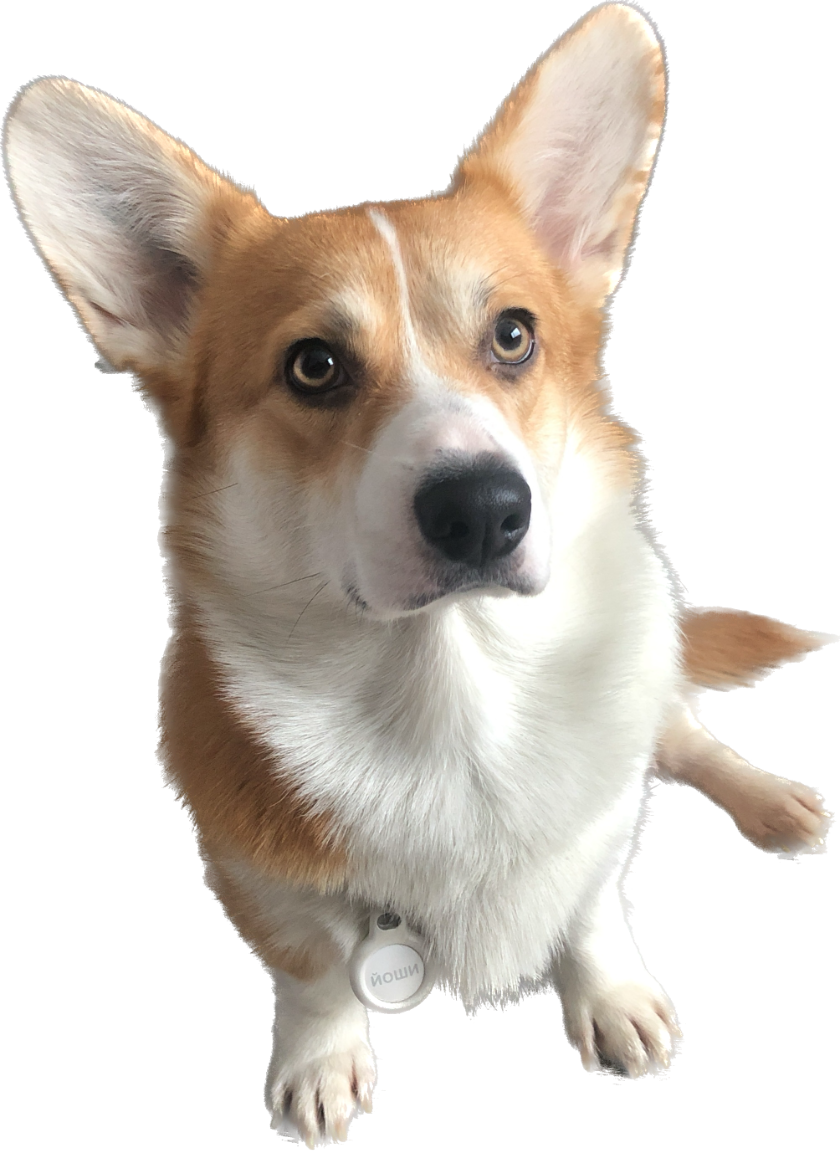 Pasted image 20230316132408.png